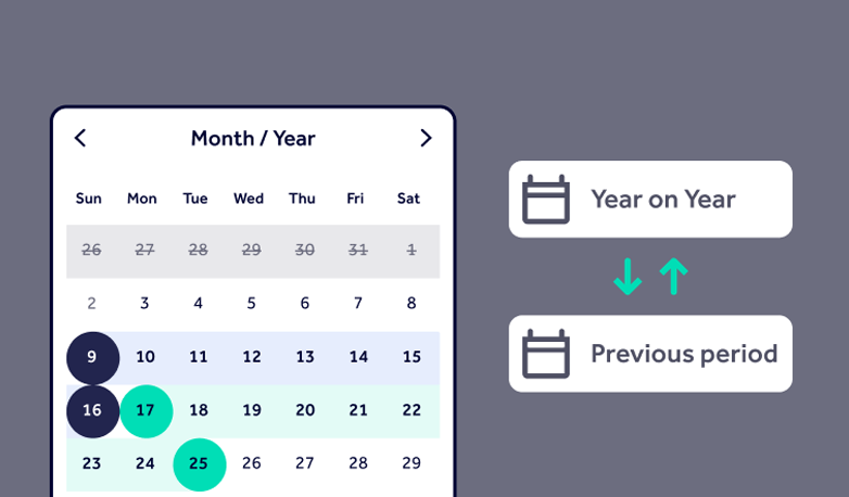 Date picker used in Company Level Reports